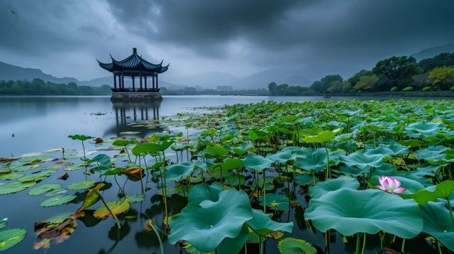 震惊中国园林大师陈从周的名言中国园林，明看苏州，清看扬州，民国看无锡