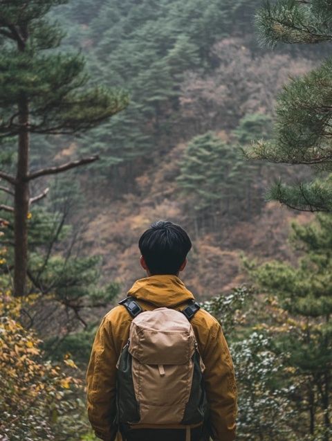 随性徒步之旅：探索自然，唤醒生活热情的经典感悟